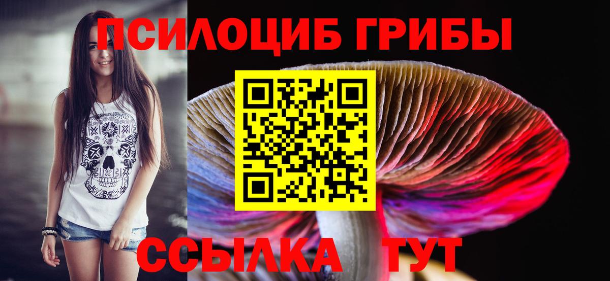 Псилоцибиновые грибы мухоморы Туапсе